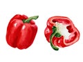 Watercolor drawings of red peppers Royalty Free Stock Photo