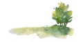 Watercolor drawn illustration of a peaceful tree in beautyful green tones on white. Art ist created and painted Royalty Free Stock Photo