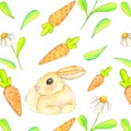 Watercolor drawn spring seamless pattern on a white background of daisies, rabbit, carrots and leaves