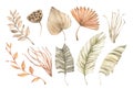 Watercolor dried tropical leaves, gentle flowers and pampas. Botanical floral design elements. Beige, green, orange palm leaves.