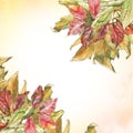 Watercolor dry autumn leaves corners