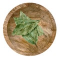 Watercolor dry green bay leaves in wooden bowl. Kitchen spices and herbs set