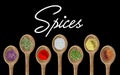 Watercolor dry kitchen spices in wooden spoon: pepper, chili, curcuma, ginger, cardamom, nutmeg on black background