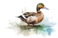 Watercolor duck illustration on white background