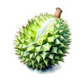 Watercolor durian isolated on white background. Generative AI