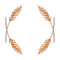 Watercolor ears of wheat frame border illustration isolated on white background. Template for decorating illustrations.