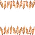 Watercolor ears of wheat frame border illustration isolated on white background. Template for decorating illustrations.