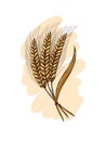 Watercolor Ears of wheat