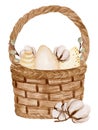 Watercolor Easter basket with eggs, cotton flower, willow isolated on white background. For various products, Easter etc Royalty Free Stock Photo