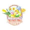 Watercolor Easter basket with hand painted spring colorful flowers and colored eggs. Happy easter card with decorative elements Royalty Free Stock Photo