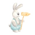 Watercolor Easter bunny with signpost in gray and blue colors isolated on white background