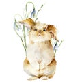 Watercolor Easter card with bunny and flowers. Hand painted rabbit with snowdrop isolated on white background. Holiday