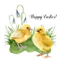 Watercolor easter card with young chicken, grass and snowdrop. Holiday print with Happy Easter lettering isolated on Royalty Free Stock Photo