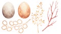 Watercolor Easter clipart set with neutral-toned eggs and decorative golden botanical branches. Royalty Free Stock Photo