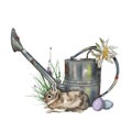 Watercolor Easter composition. rabbits, Easter eggs and flowers Royalty Free Stock Photo