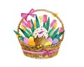 Watercolor easter eggs with easter cake with candle. Which are in a wicker basket with tulips.