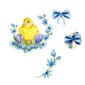 Watercolor easter flowers and chicken set: yellow easter chick, blue flowers, blue bow, egg with bow