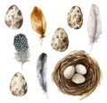 Watercolor easter set with bird nest and eggs. Hand painted orange, striped and polka dot feathers isolated on white