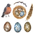 Watercolor Easter spring set with hand painted robin bird, nest with eggs, pussy willow branch, isolated on white background. Royalty Free Stock Photo