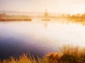 Watercolor effect. Young birch tree on island in middle of swamp lake. Purple morning Royalty Free Stock Photo