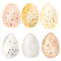 Watercolor egg set. spring holiday - easter element. delicate yellow, pink, blue, brown and grey eggs clipart