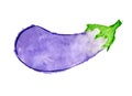 Watercolor eggplant