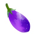 Watercolor Eggplant isolated on white background. Digital art painting