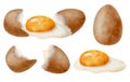 Watercolor eggs set. Hand drawn brown egg, broken egg with yolk and glair and eggshell illustrations isolated on white Royalty Free Stock Photo