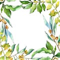 Watercolor elaeagnus green leaves. Leaf plant botanical garden floral foliage. Frame border ornament square.