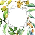 Watercolor elaeagnus green leaves. Leaf plant botanical garden floral foliage. Frame border ornament square.