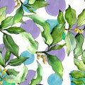 Watercolor elaeagnus green leaves. Leaf plant botanical garden floral foliage. Seamless background pattern.