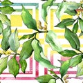 Watercolor elaeagnus green leaves. Leaf plant botanical garden floral foliage. Seamless background pattern.