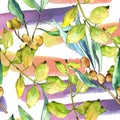 Watercolor elaeagnus green leaves. Leaf plant botanical garden floral foliage. Seamless background pattern.