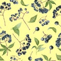 Watercolor elderberries seamless pattern