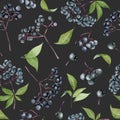 Watercolor elderberries seamless pattern