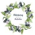 Watercolor elderberry branches wreath