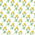 Watercolor elecampane herb. seamless pattern