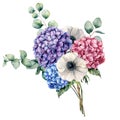 Watercolor elegance bouquet with flowers. Hand painted pink, blue and violet hydrangea, white anemone with eucalyptus