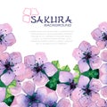 Watercolor elegant background with japanese sakura