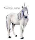 Watercolor elegant white unicorn. Hand painted magic horse isolated on white background. Fairytale character