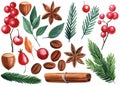 Watercolor elements. Red cup, berry, cinnamon, anise, coffee, nut and twigs spruce, hand drawn painting