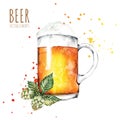 Watercolor elements on the theme of beer. Beer glass, hops, malt.