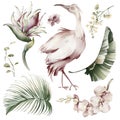 Watercolor elements of tropical birds and plants. Royalty Free Stock Photo