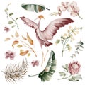 Watercolor elements of tropical birds and plants. Royalty Free Stock Photo