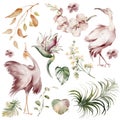 Watercolor elements of tropical birds and plants. Royalty Free Stock Photo