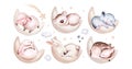 Watercolor elephant animal illustration of a cute baby sheep, lamb, sleeping rabbit and bunny, koala and deer fawn on the moon and Royalty Free Stock Photo