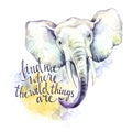 Watercolor elephant with handwritten inspiration phrase. African animal. Wildlife art illustration. Can be printed on T