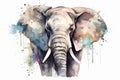 Watercolor elephant portrait illustration on white background