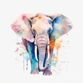 Watercolor Elephant portrait, painted illustration of a safari mammal on a blank background, Colorful splashes animal Royalty Free Stock Photo