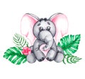 Watercolor elephant on a white background in tropical leaves